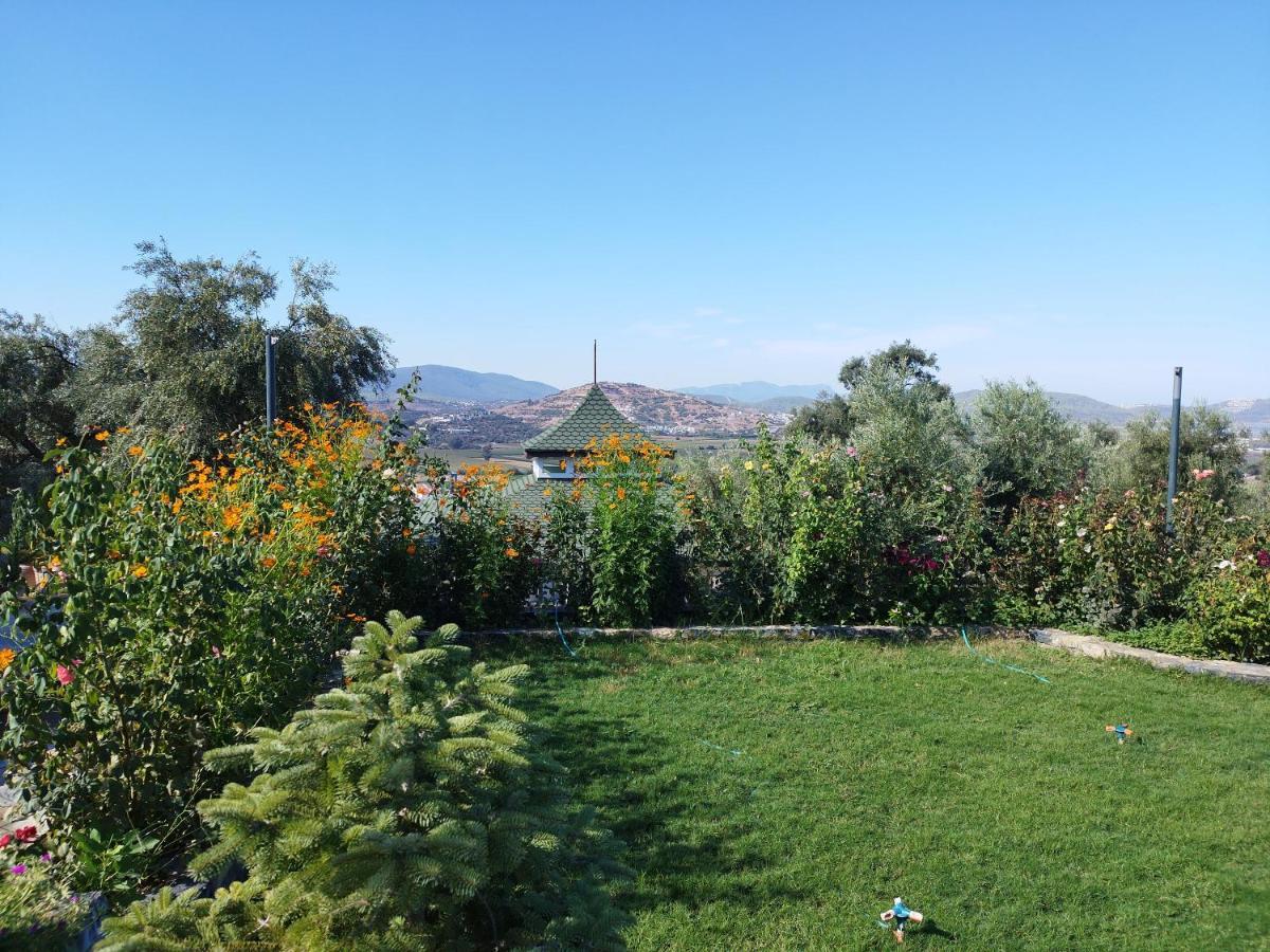 Отель Olive Garden Retreat Миляс Экстерьер фото