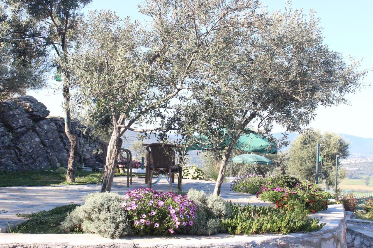 Отель Olive Garden Retreat Миляс Экстерьер фото