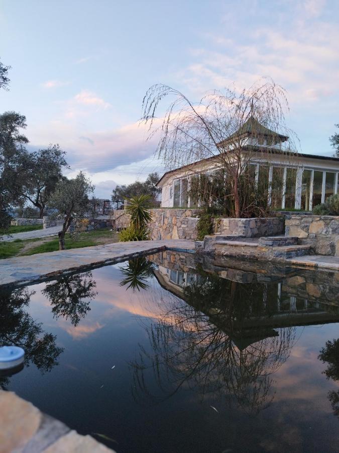 Отель Olive Garden Retreat Миляс Экстерьер фото